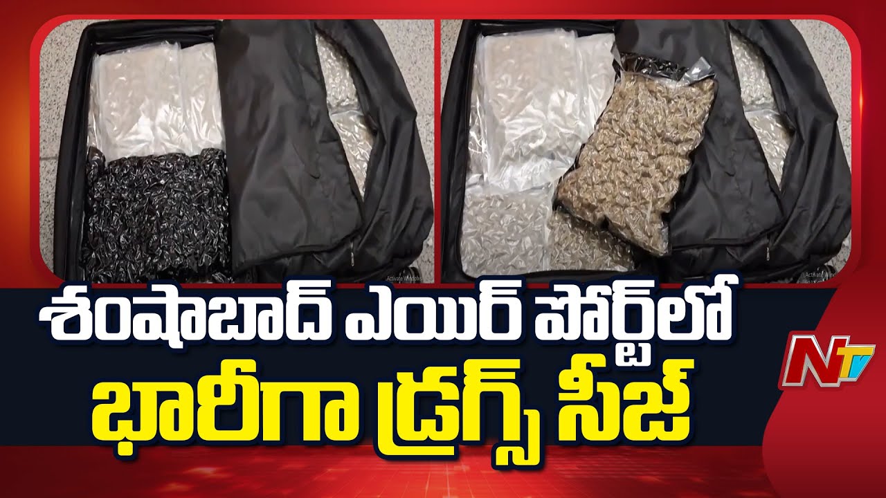 13 కోట్లు విలువైన హైడ్రోపోనిక్ గంజాయి సీజ్