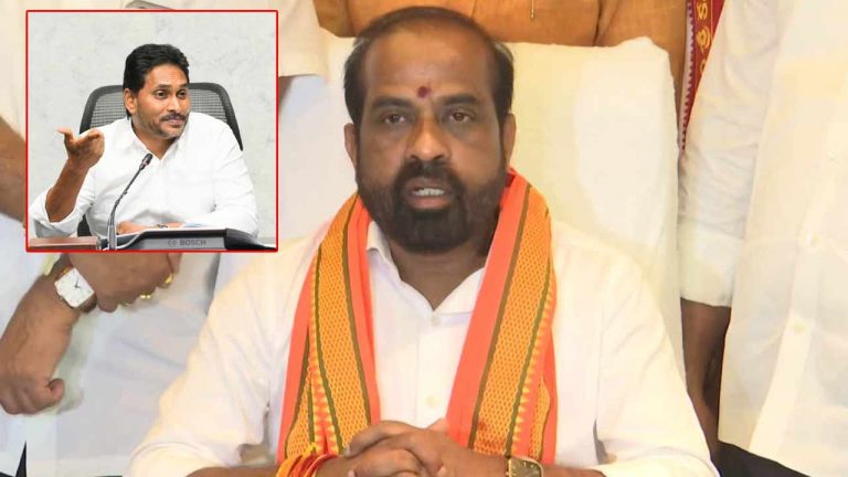 Minister Satya Kumar: జగన్ కూడా రేపు జైలుకు వెళ్లాలి..