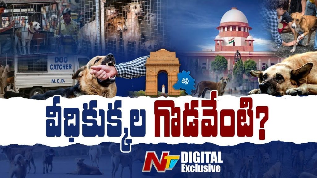 Supremecourt Dogs Issue