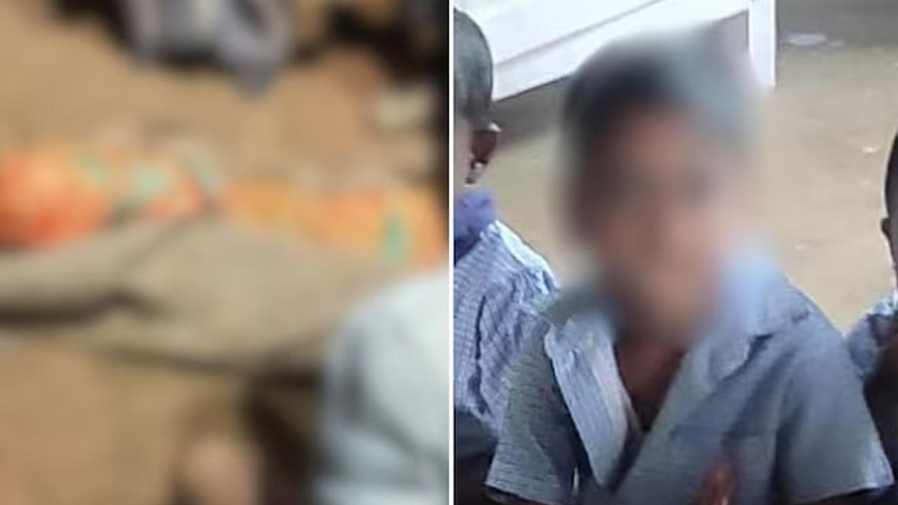 Tamil Nadu: 8 ఏళ్ల బాలుడిని కొరికి చంపిన ఎలుగుబంటి.. చివరకు ఏం జరిగిందంటే..?