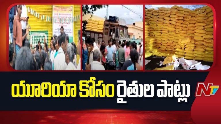 farmers protest for urea : రైతులందరికీ సరిపడా యూరియా అందిచాలని డిమాండ్!