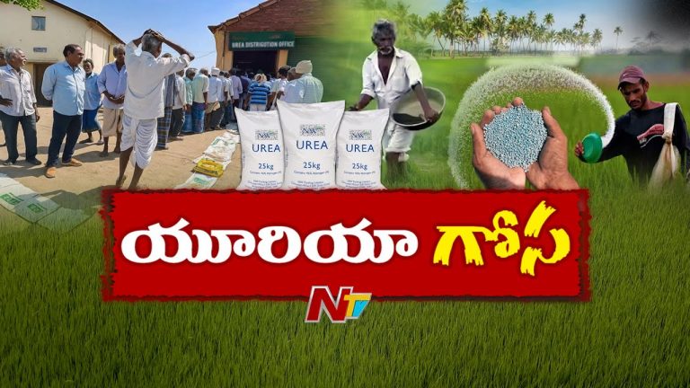 Telangana: తెలంగాణలో యూరియా కోసం రైతుల పాట్లు