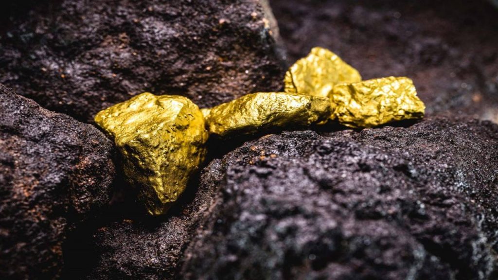 Andhra Pradesh Gold Mine