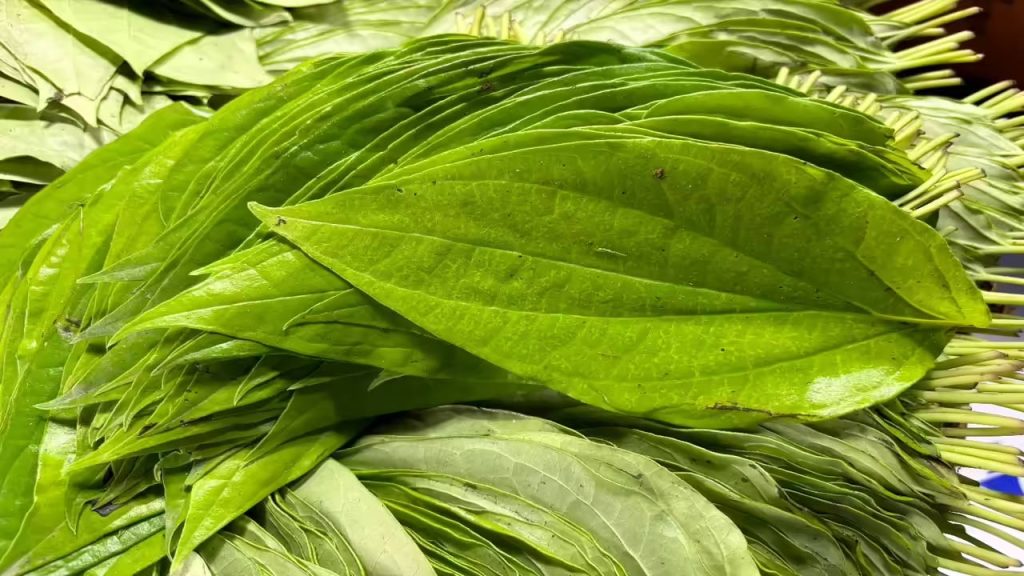 Betel Leaf Benefits