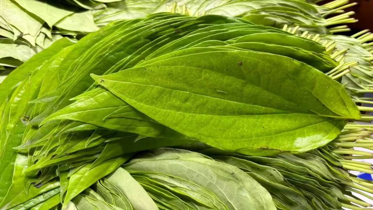Betel Leaf Benefits: ఆకే కదా అని తీసి పారేయకండి.. దివ్యౌషధం!