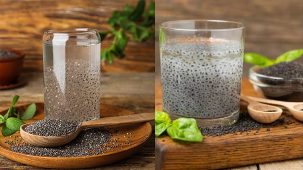 Chia Seeds Vs Sabja Seeds