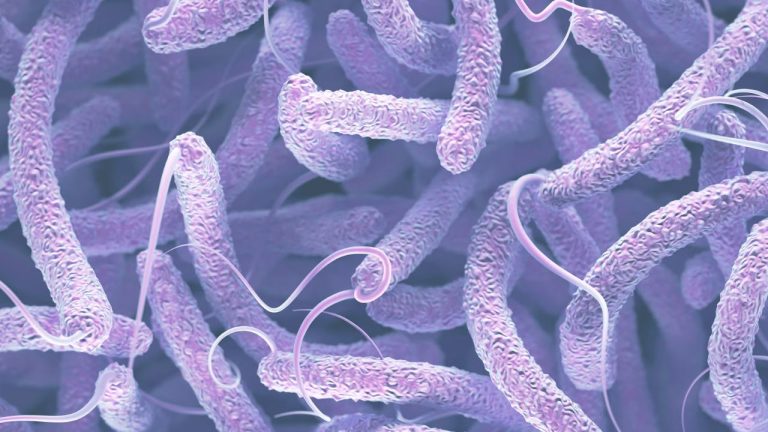 Cholera-Tenali: తెనాలిలో కలరా కలకలం.. సాఫ్ట్‌వేర్‌ ఇంజనీర్‌కు..!