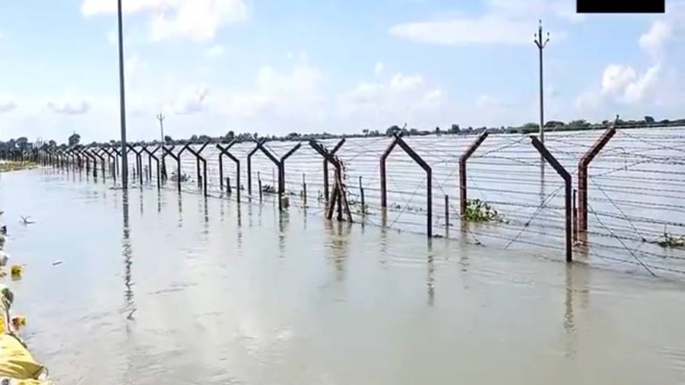 Indo-Pak Border: భారీ వర్షాలకు కొట్టుకుపోయిన ఇండో-పాక్ సరిహద్దు కంచె.. వీడియో వైరల్