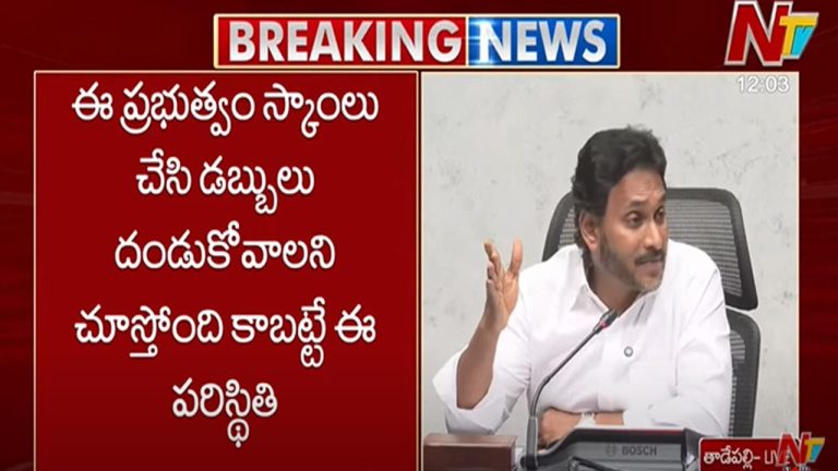 YS Jagan Warns AP CM: ఈ ప్రభుత్వం స్కాంలు చేసి డబ్బులు దండుకోవాలని చూస్తోంది..