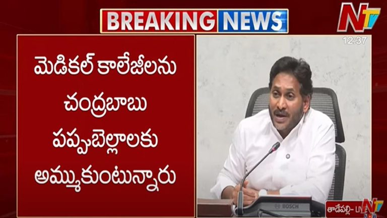 YS Jagan Mohan Reddy: మెడికల్ కాలేజీలను చంద్రబాబు పప్పుబెల్లాలకు అమ్ముకుంటున్నారు..