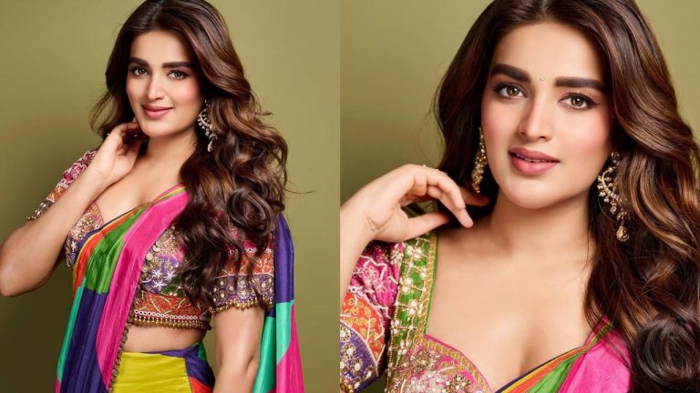 Nidhi Agarwal : చీరకట్టులో వయ్యారాలు వొలికిస్తున్న నిధి పాప..