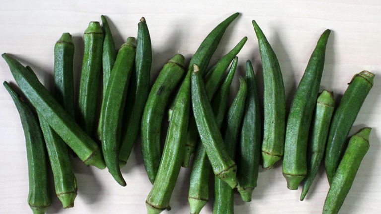 Health Risks of Okra : బెండకాయ ఆరోగ్యకరమే.. కానీ ఈ 5 మంది మాత్రం దూరంగా ఉండాలి