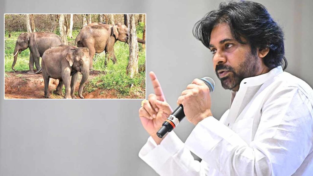 Pawan Kalyan