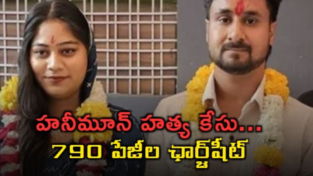 Meghalaya : రాజా రఘువంశీ హత్య కేసులో 790 పేజీల చార్జిషీట్