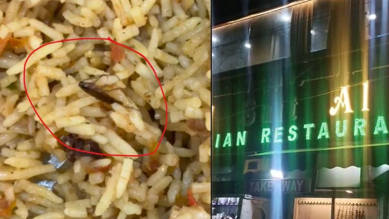 Insect Found in Biryani at Hyderabad’s Mushirabad Restaurant : బిర్యానీలో బొద్దింక.. షాకైన బిర్యానీ లవర్.. ఎక్కడంటే…