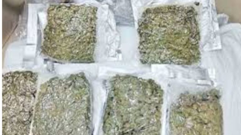 Sangareddy:  గంజాయి మత్తులో  ఖైదీల వీరంగం.. భయాందోళనలో జైలు సిబ్బంది