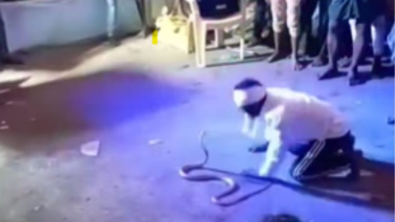 Nagini Dance: వీడు కేక.. నాగినికే నాగిని డాన్స్ నేర్పాడు.