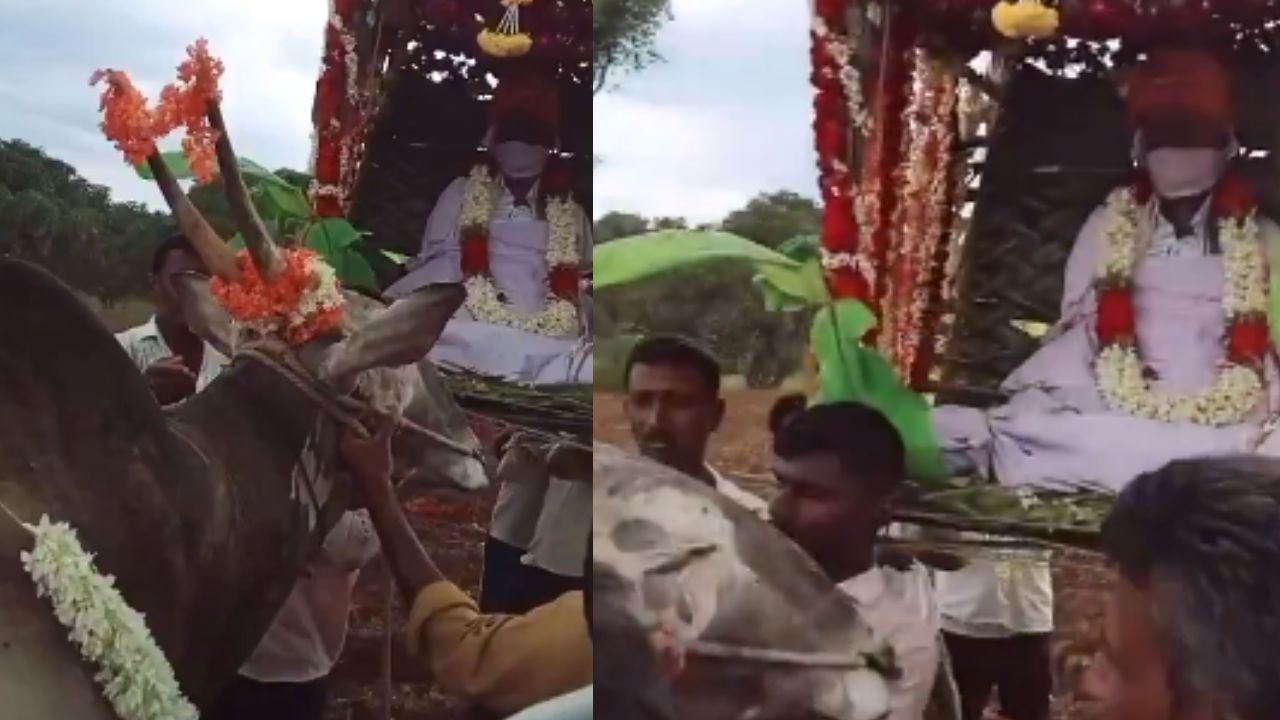 Viral video: యజమాని అంతక్రియల్లో పాల్గొని కన్నీరు పెట్టుకున్న ఎద్దు