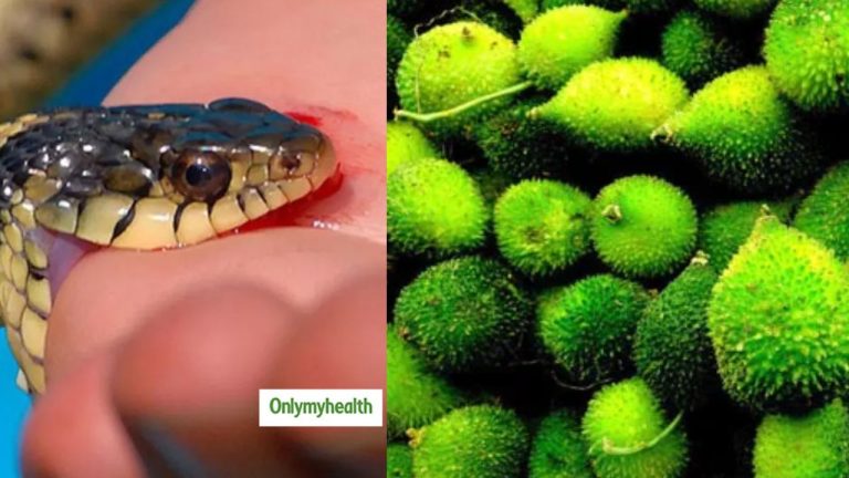 Viral: ఆ మొక్కలో అంత పవరుందా… ఏంటా మొక్క.. ఏంటా పవర్…