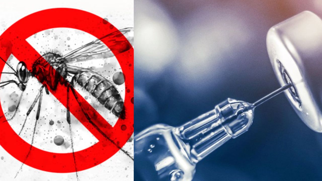 vaccine: మలేరియా రహిత దేశంగా.. త్వరలో వ్యాక్సిన్ విడుదల