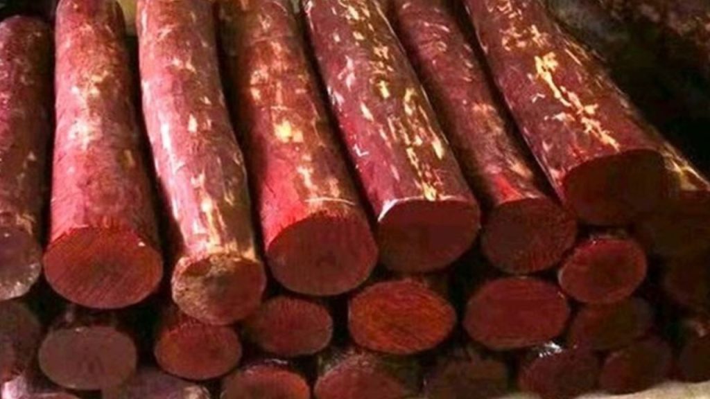 Sandalwood Smuggling