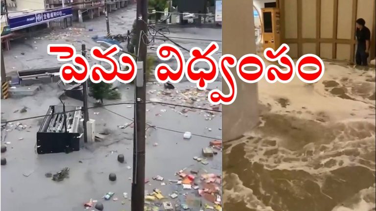 Typhoon Ragasa: తైవాన్, చైనాలో పెను విధ్వంసం సృష్టించిన తుఫాన్.. వీడియోలు వైరల్