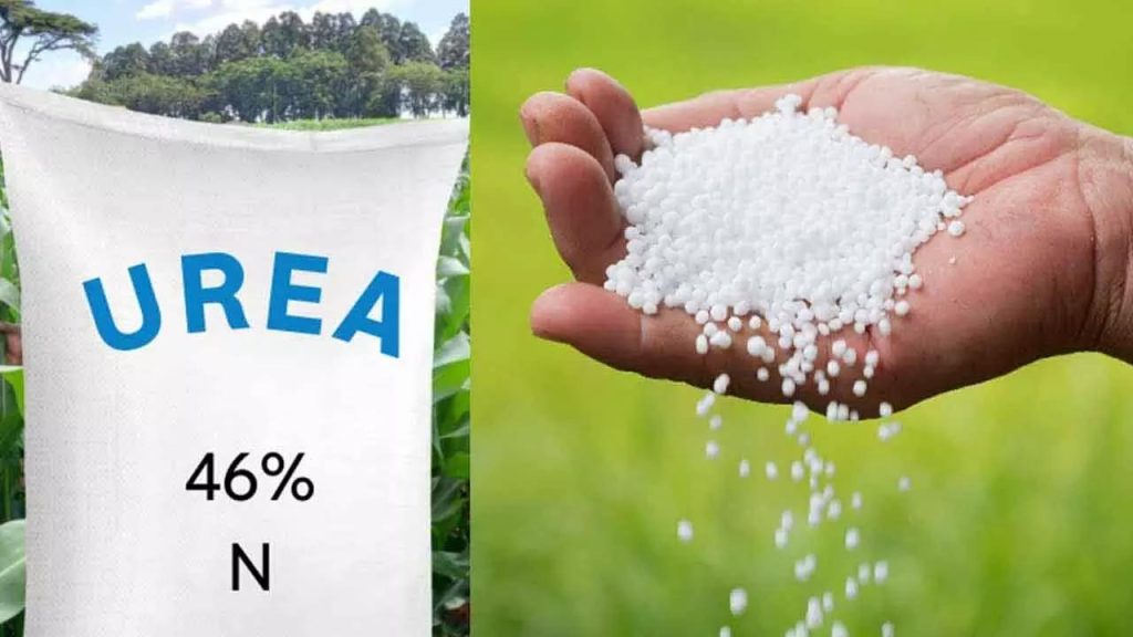 Urea