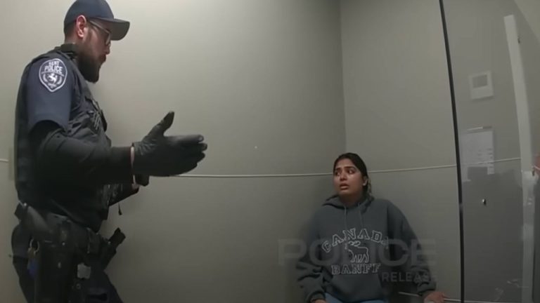 US: ఓ భారతీయ మహిళ పిచ్చిచేష్టలు.. స్టోర్‌లో చోరీ చేస్తూ పట్టివేత