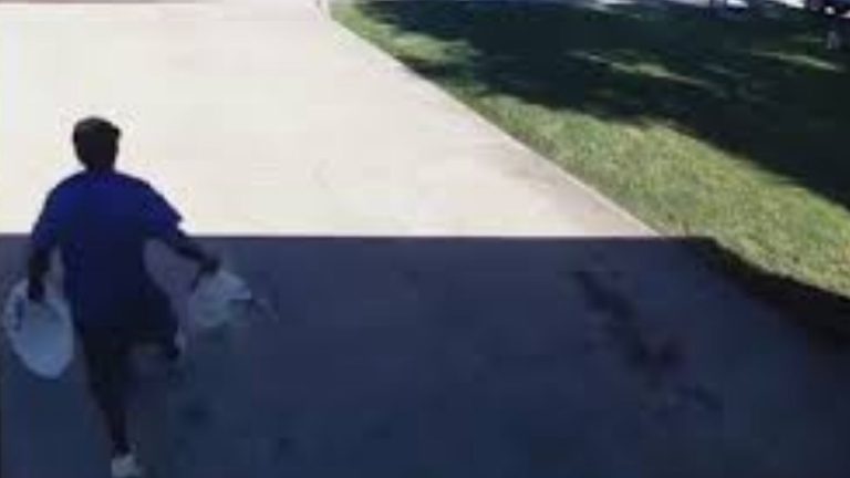 Luknow: ఐపీఎస్ అధికారి ఇంట్లో  చోరీ.. చివరికి అది కూడానా..