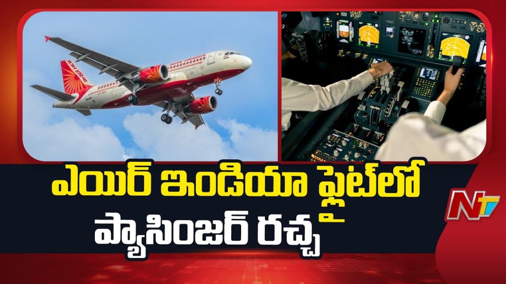 Air India Passanger