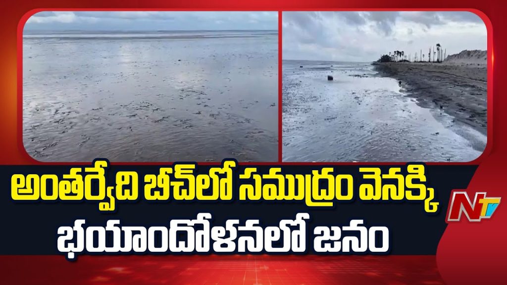 Beach Back Goes Viral