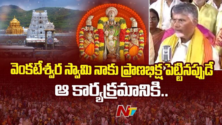 CM Chandrababu: ప్రపంచంలో హిందువులుండే ప్రతిచోట వేంకటేశ్వర స్వామి ఆలయాలు నిర్మిస్తాం..