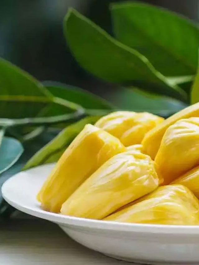 పనస పవర్‌హౌస్...సంపూర్ణ ఆరోగ్యానికి స్వాదిష్ట గమ్యం