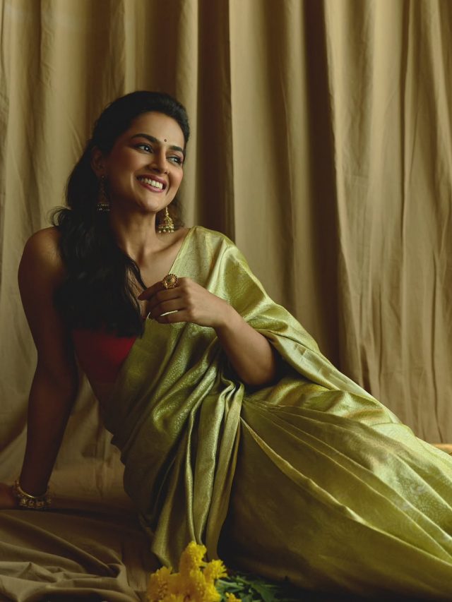 ఎలిగెన్స్‌కి కొత్త నిర్వచనం ఇచ్చిన శ్రద్ధ శ్రీనాథ్ సారీ లుక్స్