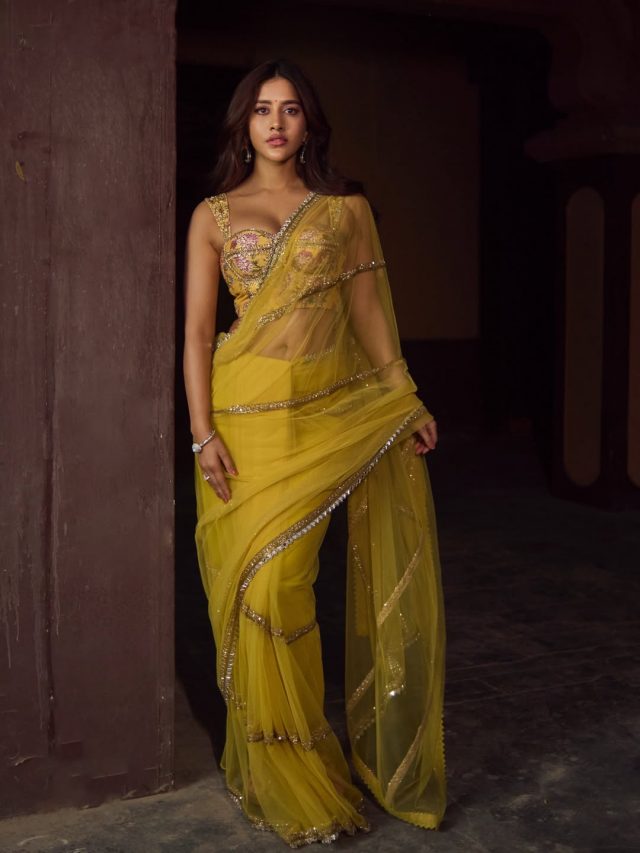 సారీలోనూ గ్లామర్ రగిలించిన నభా నటేష్