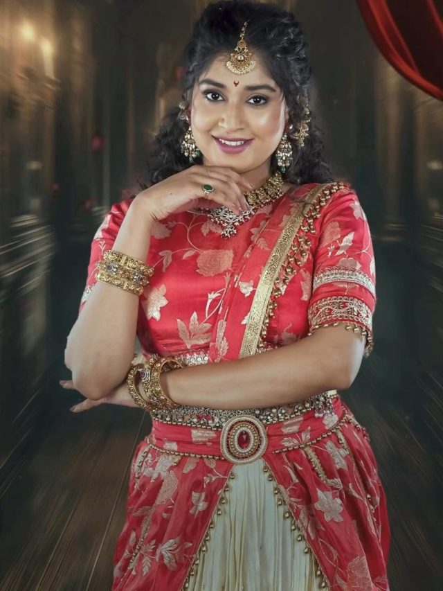 బిగ్ బాస్ సీజన్ 9 కంటెస్టెంట్స్ వీళ్లే