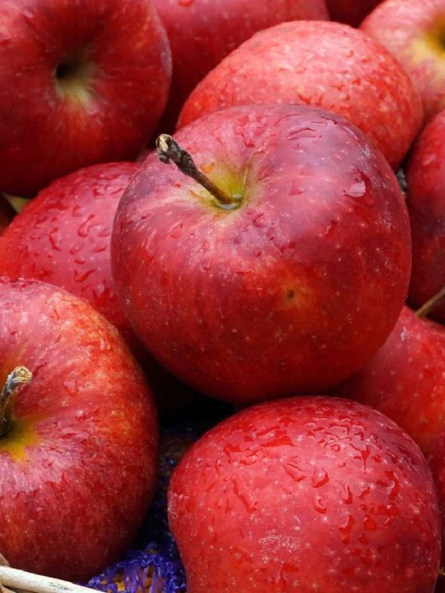 రోజుకి ఒక ఆపిల్ తింటే ఇక ఏ అనారోగ్య సమస్యలు రావు అంట ఇందుకేనేమో....