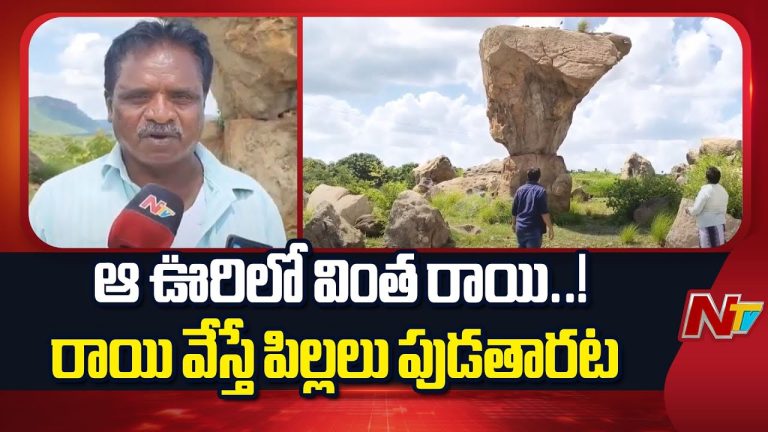 Annamayya District : సంతానం కలగాలంటే ఈ రాయిపై రాయి వేయాలి అంట