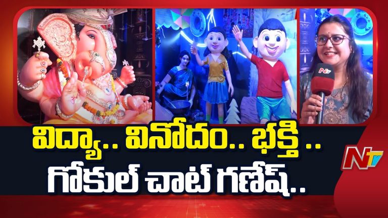 Gokul Chat 2025: ఫోర్ సీజన్స్ థీమ్‌లో అద్భుత అలంకారం