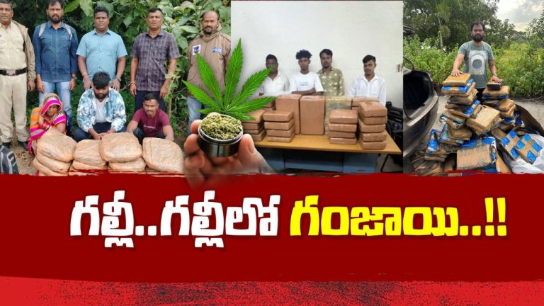 Ganja Seized: సినిమాటిక్‌ రేంజ్‌లో మెరుపుదాడులు.. 500 కిలోల గంజాయి సీజ్!