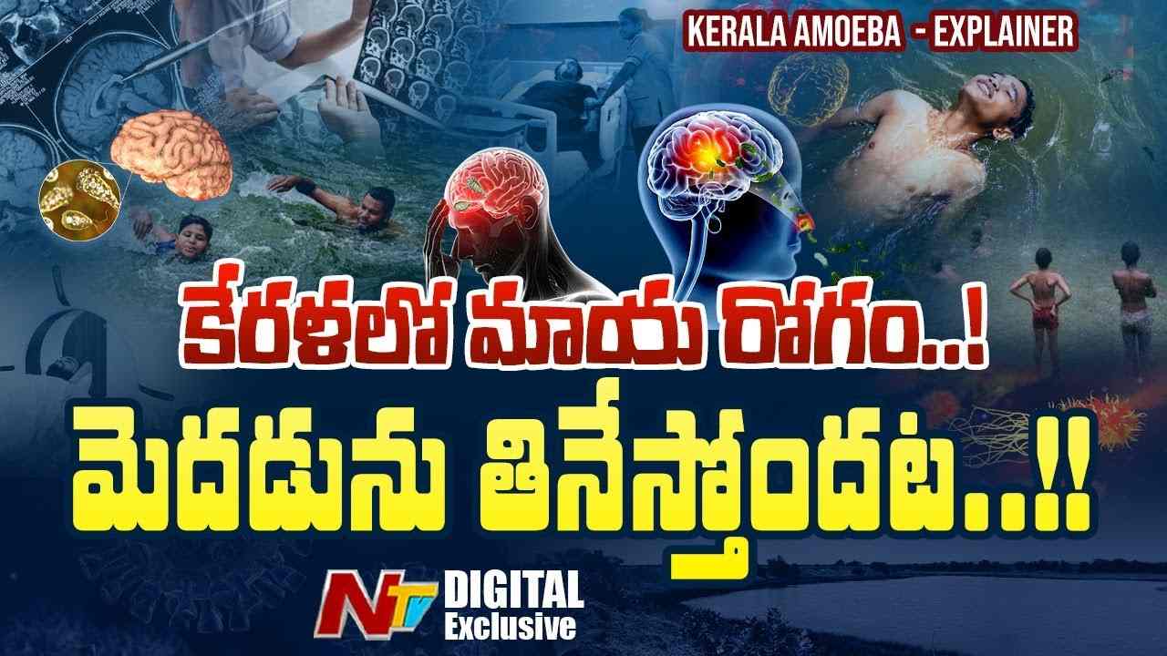 Kerala Amoeba : కేరళలో మెదడును తినే మాయరోగం..!