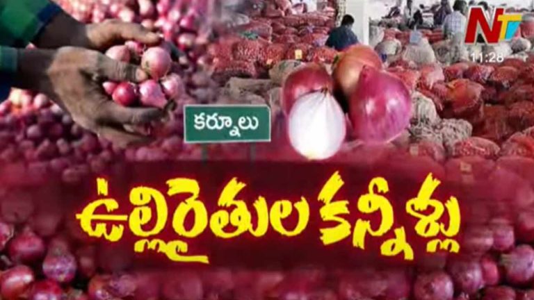 AP Onion Market: రైతులకు కన్నీళ్ళు పెట్టిస్తున్న ఉల్లి సాగు.. ధర లేక రోడ్డెక్కిన అన్నదాతలు