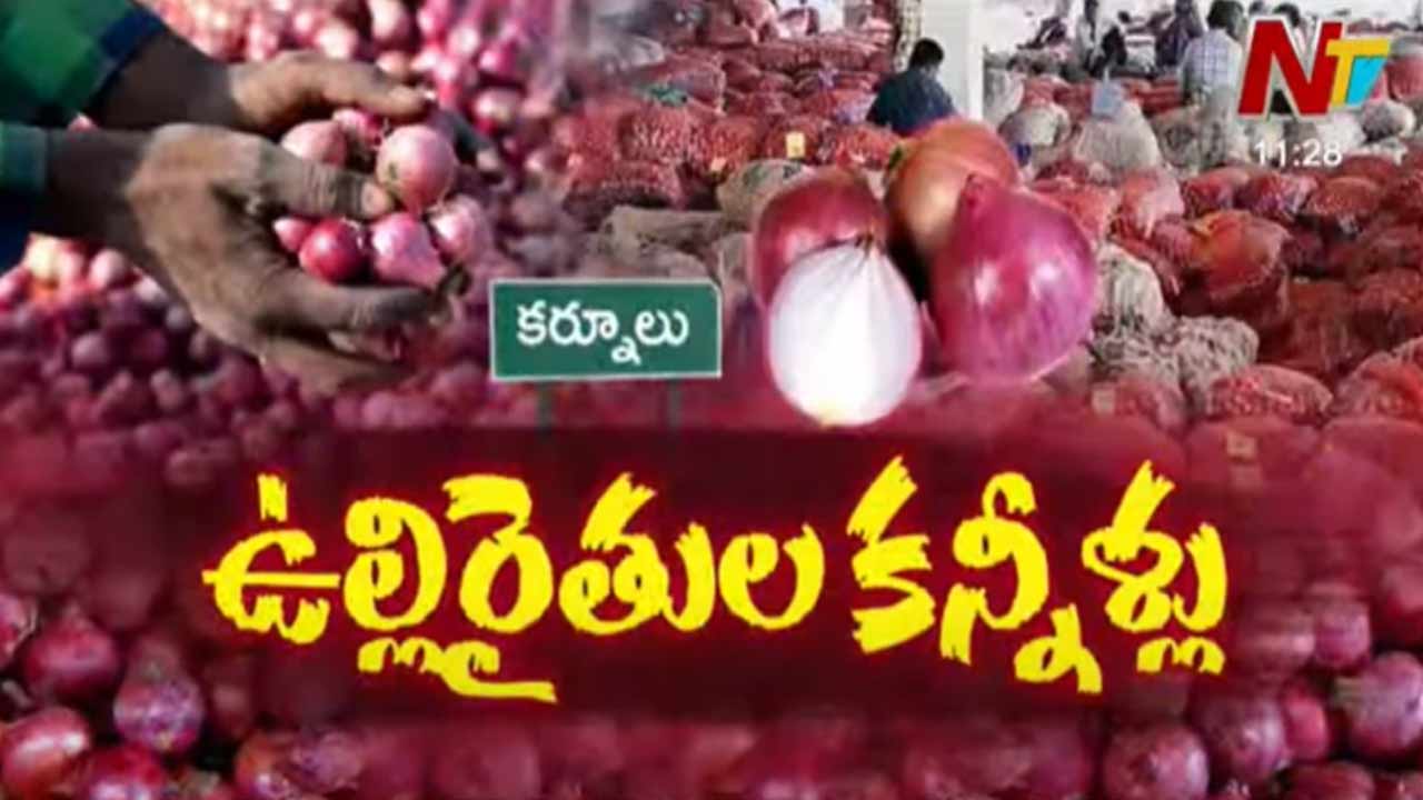 AP Onion Market: రైతులకు కన్నీళ్ళు పెట్టిస్తున్న ఉల్లి సాగు.. ధర లేక రోడ్డెక్కిన అన్నదాతలు