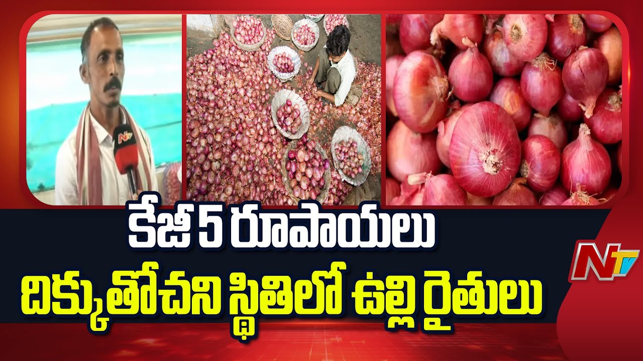 Eluru District : తాడేపల్లి మార్కెట్‌లో ఉల్లిపాయల కొనుగోలుకు వ్యాపారుల నిరాసక్తి, రైతుల కష్టాలు మరింత పెరిగిన పరిస్థితి
