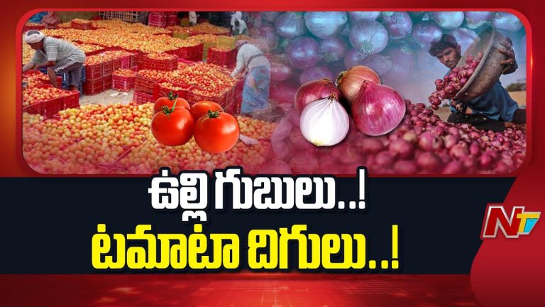 టమాటా, ఉల్లిపాయ ధరలు చరిత్రలో తొలిసారి నేలచూపు.. నష్టాల్లో మునిగిన రైతులు