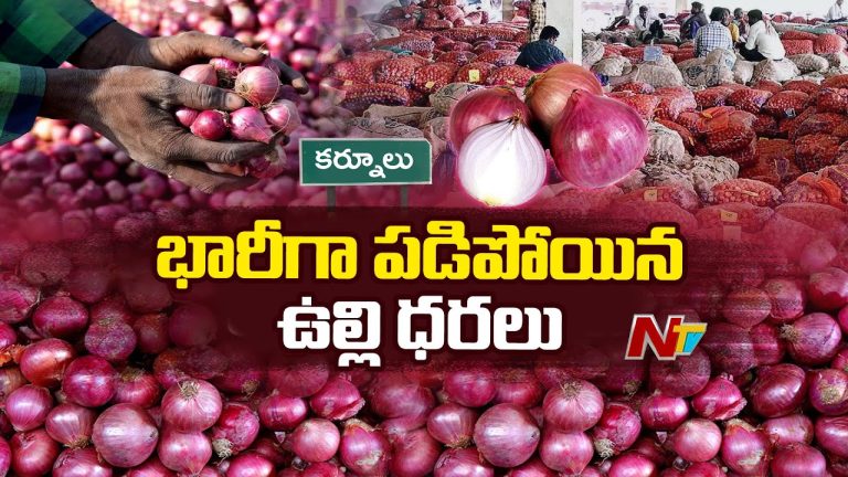Kurnool : భారీగా పడిపోయిన ఉల్లి ధరలు కర్నూరులో రోడ్డెక్కిన ఉల్లి రైతులు