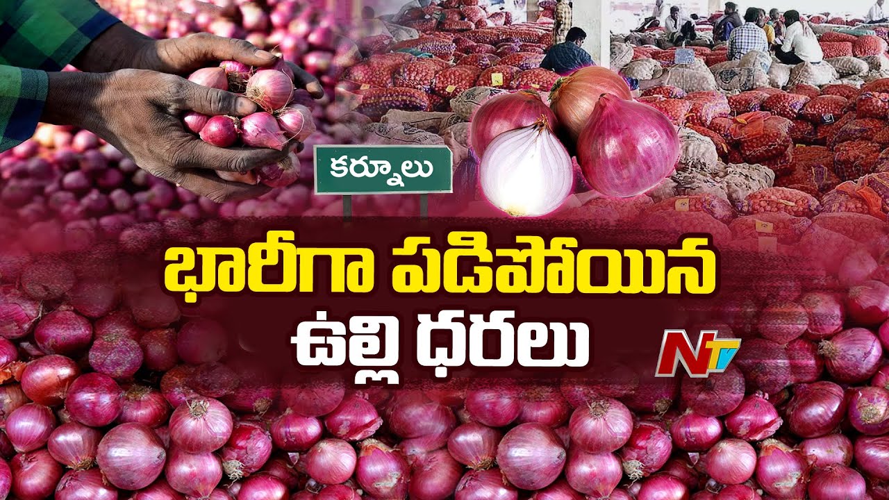 Kurnool : భారీగా పడిపోయిన ఉల్లి ధరలు కర్నూరులో రోడ్డెక్కిన ఉల్లి రైతులు