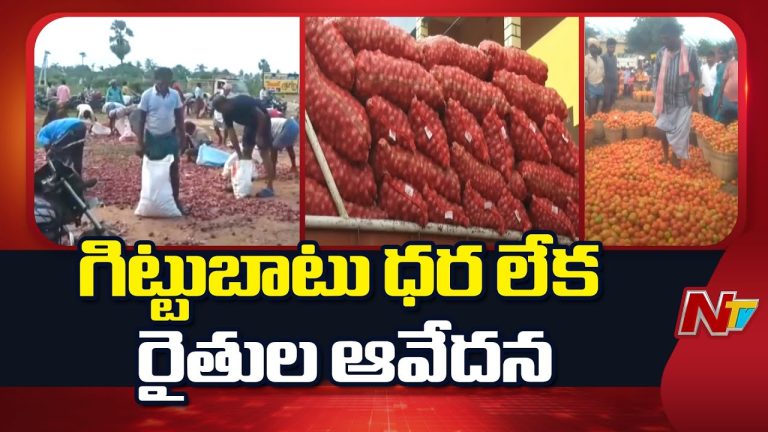Andhra Pradesh : పంట పండినా రైతుకు నష్టమే.. ఉల్లి, టమాటా ధరలు కుప్పకూలి రైతుల కష్టాలు