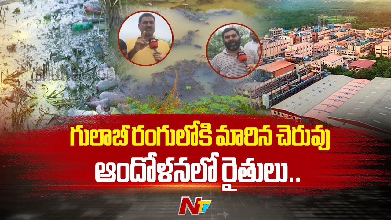 Sangareddy District : దోమడుగు నల్లకుంటలో గులాబీ రంగు నీళ్లు.. హెటెరొ ఇండస్ట్రీపై వ్యవసాయదారులు ఆందోళన