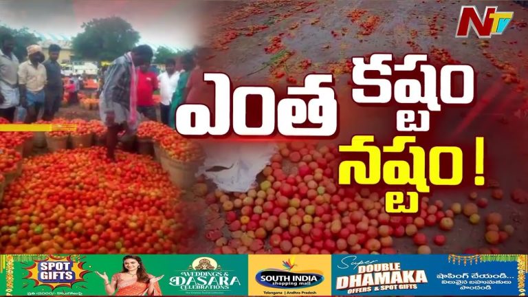 Kurnool : గిట్టుబాటు ధర దక్కకపోవడంతో.. ఆగ్రహంతో టమోటాలు రోడ్డుపై పారబోసిన రైతులు